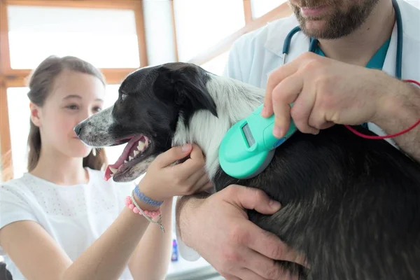 Meisje op zoek terwijl arts met behulp van apparatuur op hond bij dierenarts c — Stockfoto