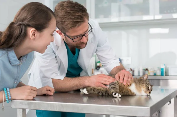 Dokter en meisje kijken naar kat op tafel in veterinaire kliniek — Stockfoto