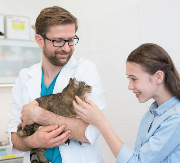Dokter dragen terwijl eigenaar strelen kat in kliniek — Stockfoto