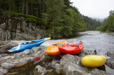 Arkaplanda nehir kenarındaki renkli kanolar