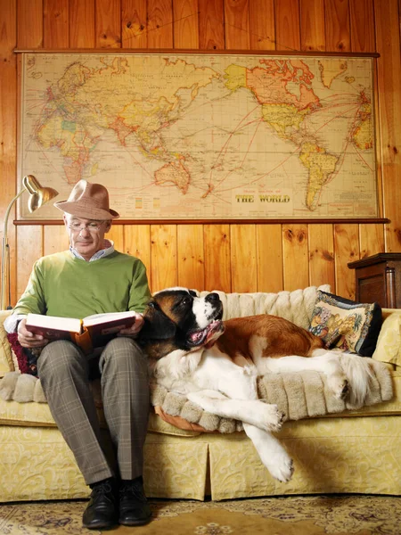 Hombre Mayor Sentado Sofá Con Libro Lectura Perros —  Fotos de Stock