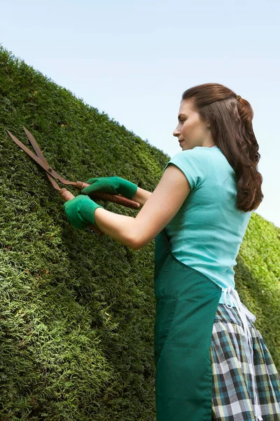 Portrait Woman Trimming Hedge — Stock Photo, Image