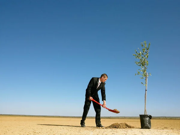 Geschäftsmann Pflanzt Baum Wüste — Stockfoto