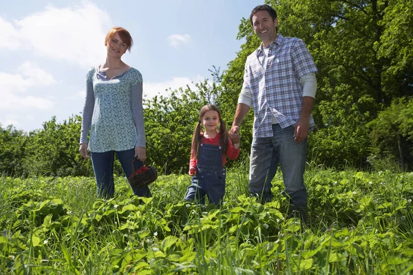 Ouders Dochter Aardbeienveld Portret — Stockfoto