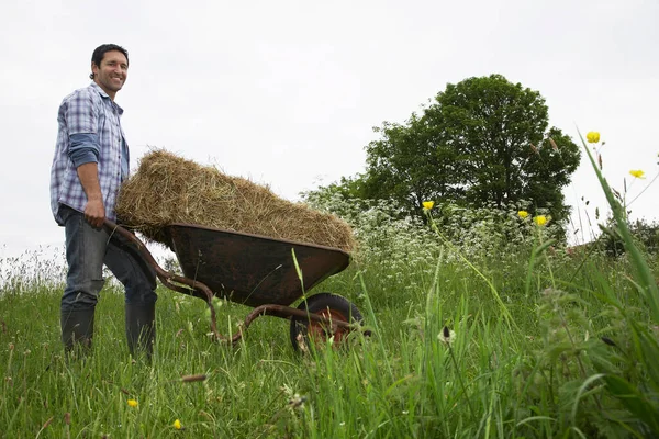 Man Transporting Hay Wheelbarrow Field — Stock Photo, Image