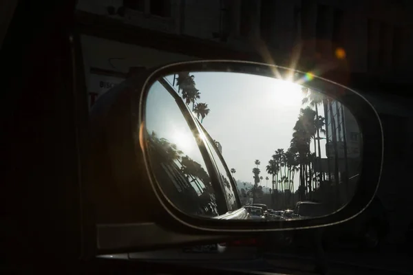 Pálmafák Tükröződése Autó Tükrében — Stock Fotó