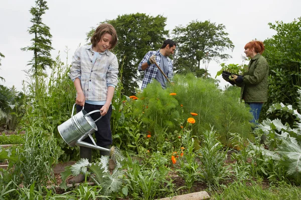 Genitori Figlio Giardinaggio — Foto Stock