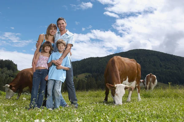 有孩子 的父母抱着奶牛肖像画在田野里 — 图库照片