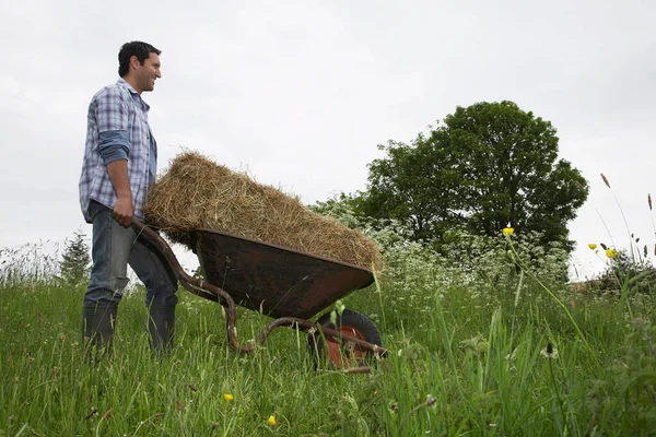 現場で干し草を運搬する男 — ストック写真