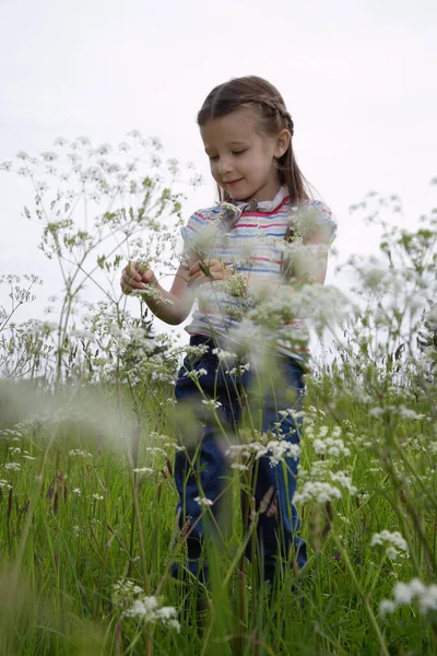Girl Playing Meadow — Stock Photo, Image
