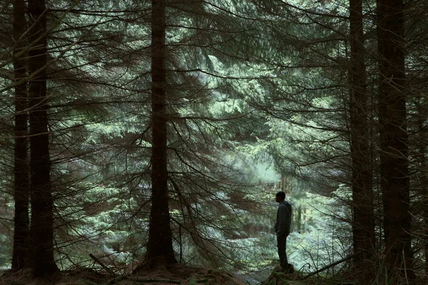 Silhouette Man Standing Forest — Stock Photo, Image