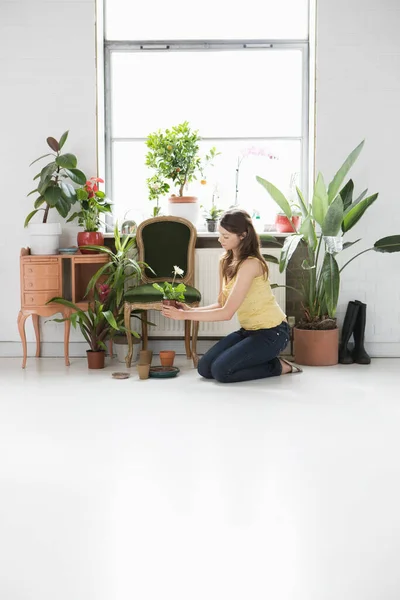 Mujer Cuidando Plantas Macetas Por Ventana — Foto de Stock