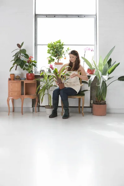 Woman Tending Plants Window Surrounded Potted Plants — Stock Photo, Image