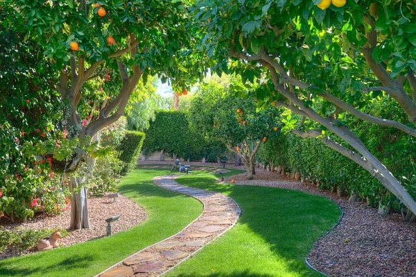 Fruitbomen Aanplant Landhuis Tuin — Stockfoto