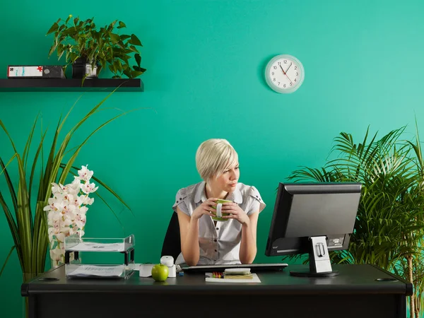 Ofisteki Masa Başında Saksılarla Dolu Bir Kadını — Stok fotoğraf