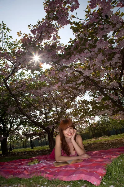 Frau Liegt Auf Einer Decke Zwischen Kirschbäumen — Stockfoto