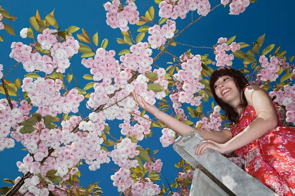 Mädchen Auf Leiter Unter Blühendem Kirschbaum — Stockfoto