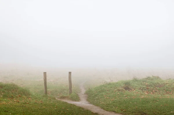 Promenad Som Leder Genom Dimmiga Fält — Stockfoto