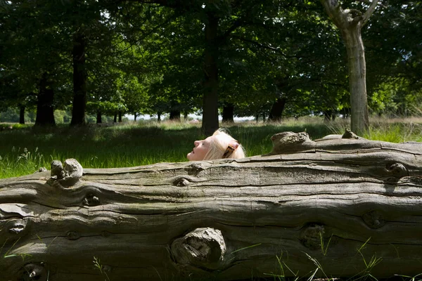 躺在树核旁边的女人 — 图库照片