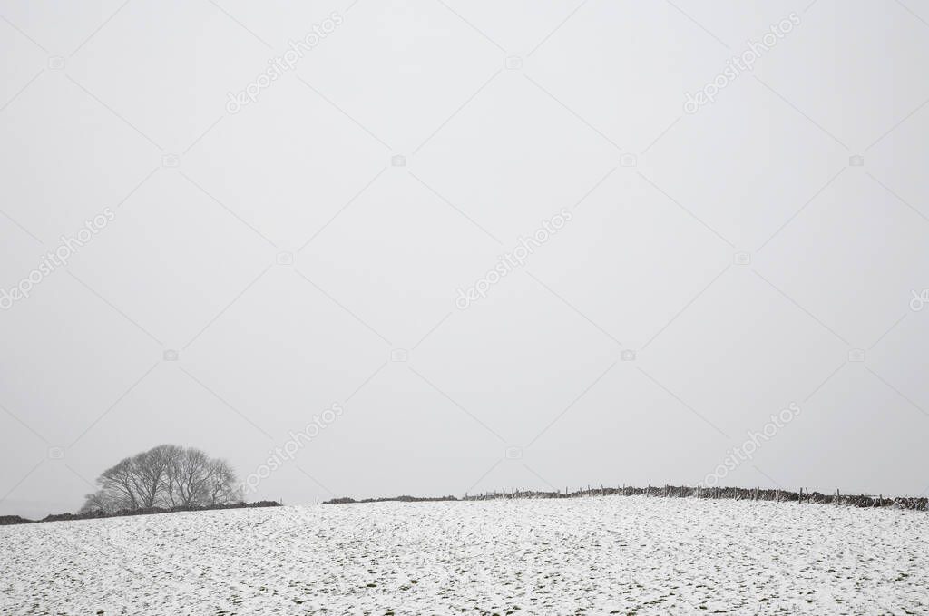 Distant view of snowy fields