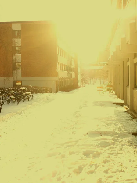 Zdjęcie Monochromatycznego Zimowego Widoku — Zdjęcie stockowe
