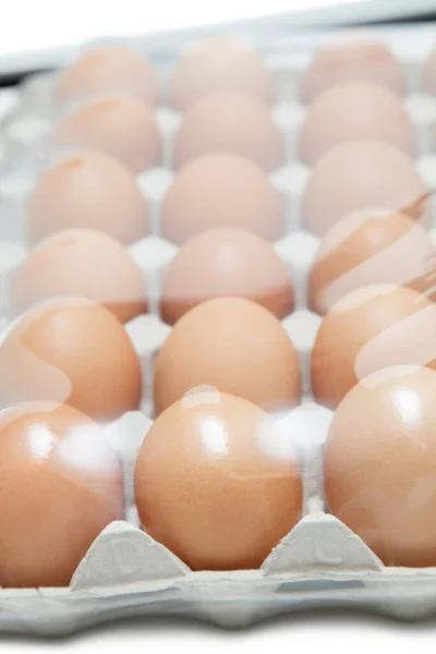 Huevos Marrones Dispuestos Cartón Con Plástico Cubriéndolo — Foto de Stock