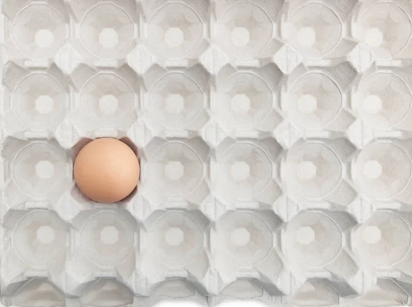 Jedno Brązowe Jajko Pustym Pudełku — Zdjęcie stockowe