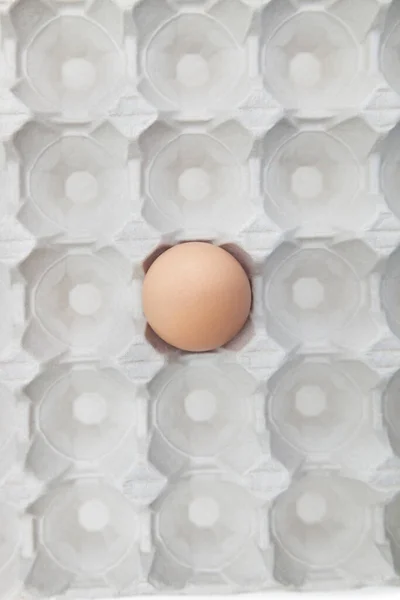 Одно Коричневое Яйцо Пустой Коробке — стоковое фото
