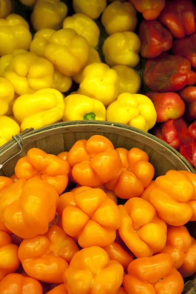Bunte Paprika Auf Dem Markt — Stockfoto