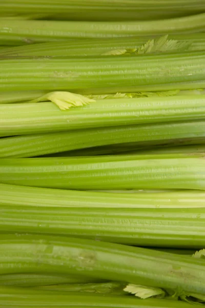 Close Spring Onions — Stock Photo, Image