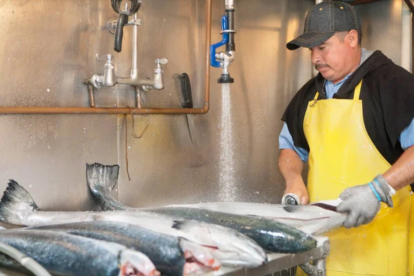 Gammal Fiskhandlare Som Tvättar Fisk Kranvatten — Stockfoto