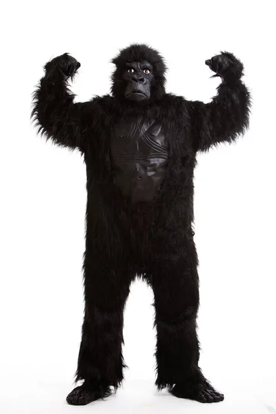 Hombre Joven Traje Gorila Flexionando Los Músculos Contra Fondo Blanco — Foto de Stock