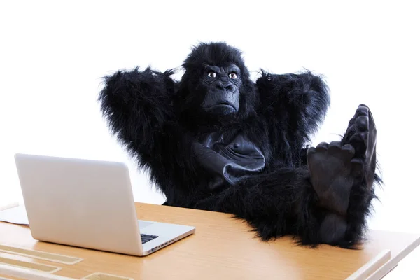 Joven Disfrazado Gorila Descansando Pies Escritorio Oficina —  Fotos de Stock