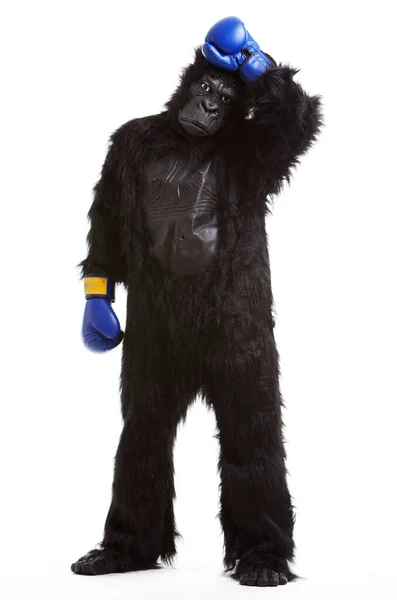 Tired Young Man Gorilla Costume Boxing Gloves White Background — Stock Photo, Image