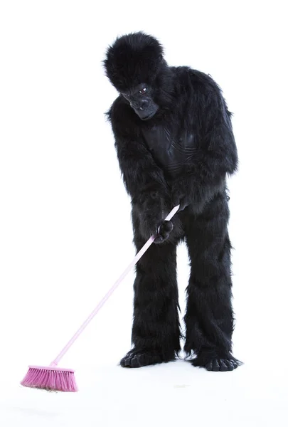 Joven Disfrazado Gorila Barriendo Suelo Sobre Fondo Blanco —  Fotos de Stock