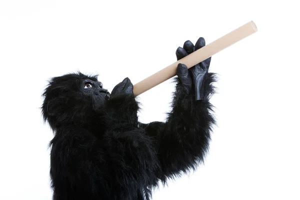 Joven Disfrazado Gorila Con Papel Enrollado Sobre Fondo Blanco — Foto de Stock