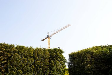 Turna çitlerin üzerinde beliriyor