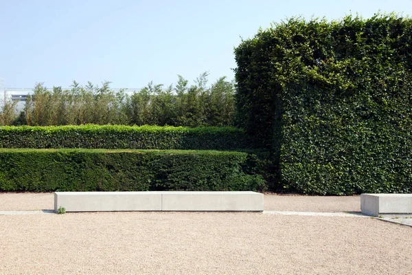 British Wall Hedges Background — Stock Photo, Image
