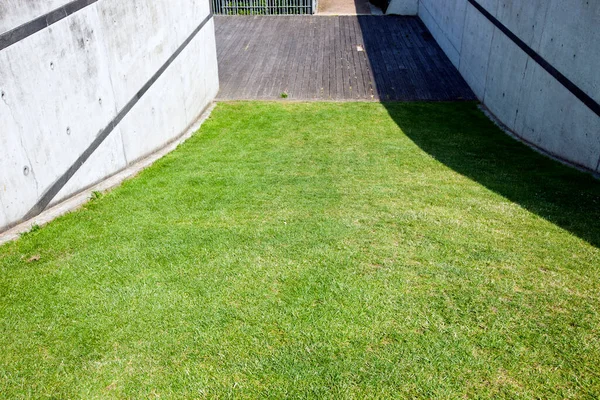 Gras Zwischen Zwei Ziegelwänden — Stockfoto