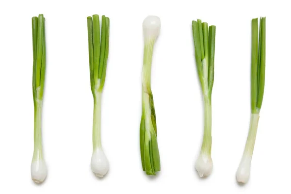 Fresh Spring Onions Arranged White Background — Stock Photo, Image
