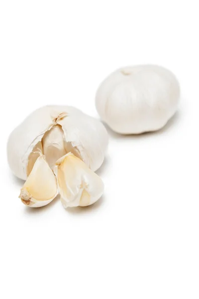 Garlic White Background Close — Stock Photo, Image