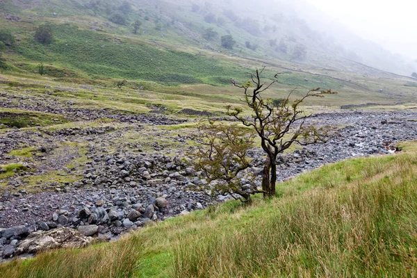 Rocky Stream Countryside — Stock Photo, Image