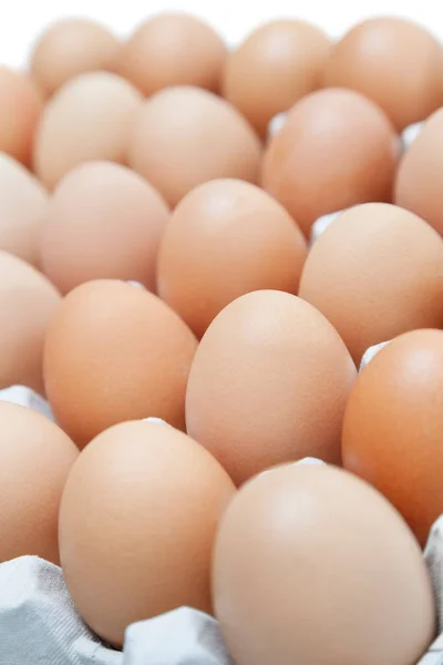 Kutudaki Kahverengi Yumurtaların Yakın Plan Çekimi — Stok fotoğraf