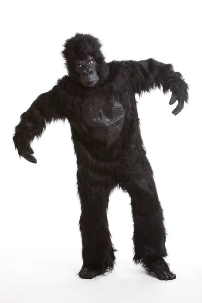 Jovem Vestindo Traje Gorila Contra Fundo Branco — Fotografia de Stock