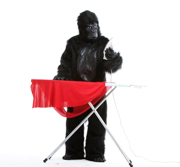 Goril Kostümlü Genç Adam Beyaz Arka Plana Kırmızı Bez Ütülüyor — Stok fotoğraf
