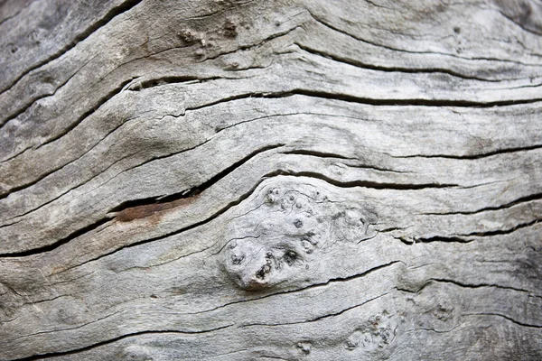 Full Frame Shot Cracked Wood — Stock Photo, Image