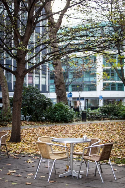 Arka Planda Sonbahar Yaprakları Olan Sandalyeler Kahve Masası — Stok fotoğraf
