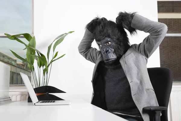 Ofisteki Dizüstü Bilgisayara Bakan Goril Maskeli Kızgın Genç Adam — Stok fotoğraf