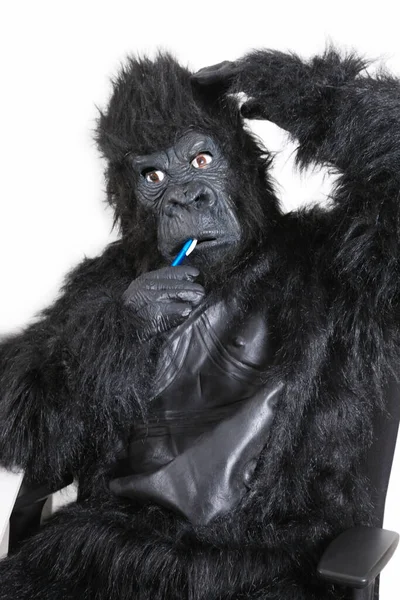 穿着大猩猩服装的年轻人在白底背景下刷牙的画像 — 图库照片