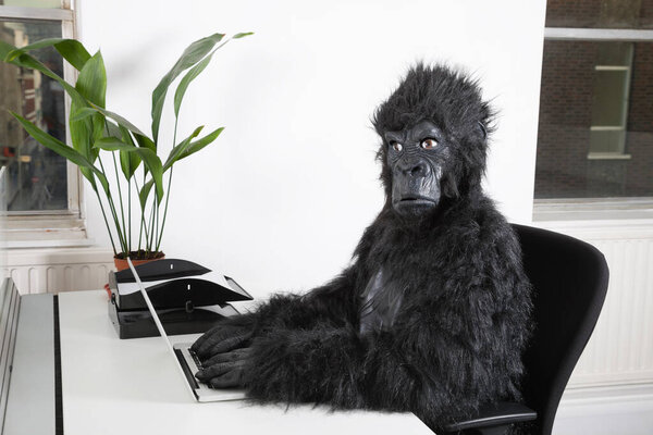 Side view of young man in gorilla costume using laptop at office